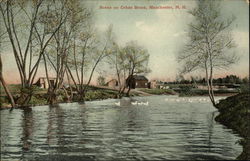 Cohas Brook Manchester, NH Postcard Postcard