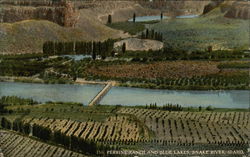 Perrine Ranch and Blue Lakes, Snake River Jerome, ID Postcard Postcard