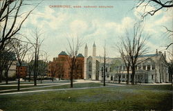 Harvard Grounds Cambridge, MA Postcard Postcard