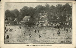 View of Oak Orchard, Delaware Postcard Postcard