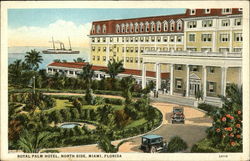 Royal Palm Hotel - North Side Miami, FL Postcard Postcard