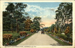 Driveway in Riverside Park Jacksonville, FL Postcard Postcard