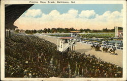 Pimlico Race Track Postcard