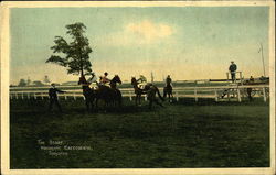 Woodbine Racecourse - The Start Postcard