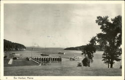 View of Harbor Postcard