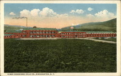 Hires Condensed Milk Co Binghamton, NY Postcard Postcard