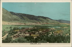 Bird's Eye View of Town Postcard