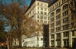 New York University Postcard