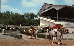 River Downs Racetrack Cincinnati, OH Postcard Postcard