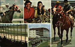 Calder Race Course Postcard