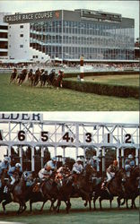 Calder Race Course Postcard