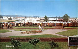 Thistledown "The Big T" North Randall, OH Postcard Postcard