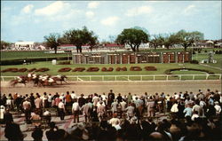 New Orleans Fair Grounds Louisiana Postcard Postcard