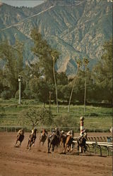 Santa Anita Park, 14 Miles from Downtown Los Angeles Arcadia, CA Postcard Postcard