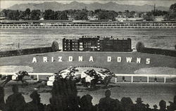 Arizona Downs Postcard