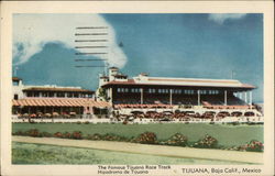 The Famous Tijuana Race Track Postcard