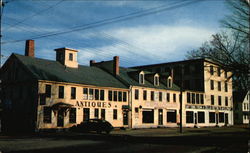 Fitton's White Elephant Shop Milford, NH Postcard Postcard