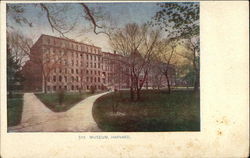 Museum, Harvard Postcard