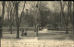 Mount Morris Park looking S.W Postcard