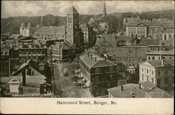 Hammond Street Bangor, ME Postcard Postcard