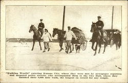 Walking Woolfs Entering Kansas City Postcard