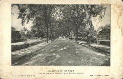 Hawthorn Street, One of the Most Beautiful Elm Shaded Streets New Bedford, MA Postcard Postcard