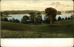 Chestnut Hill Reservoir Brookline, MA Postcard Postcard