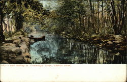 Creek Leading to Norumbega Tower, Charles River Postcard