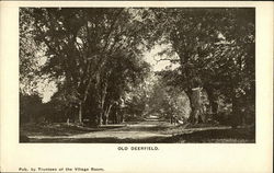 Old Deerfield Postcard