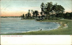 Spot Pond Medford, MA Postcard Postcard