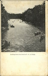 Looking Down River From the B.A.A. Bridge Postcard