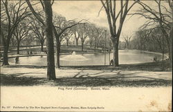 Frog Pond, Common Postcard