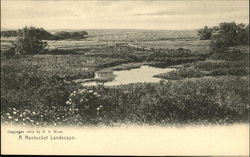 A Nantucket Landscape Massachusetts Postcard Postcard