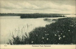 Hummock Pond Nantucket, MA Postcard Postcard