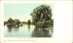 Lake in Public Gardens Postcard