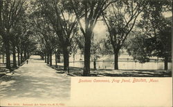 Bostons Commons, Frog Pond Postcard