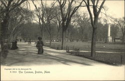 The Common Boston, MA Postcard Postcard