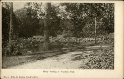 Sheep Feeding in Franklin Park Postcard