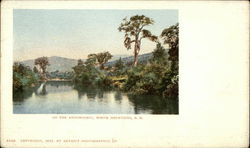 On the Ammonoosuc Postcard