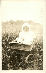 Baby in Wagon in Pretty Field Postcard