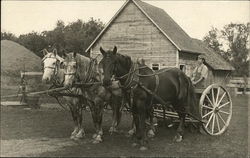 Farmer with Horse Team & Disc Harrow Postcard