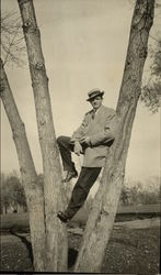 Photo of Man in Tree Men Postcard Postcard