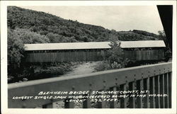 Blenheim Bridge North Blenheim, NY Postcard Postcard