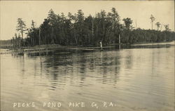 Pecks Pond Dingmans Ferry, PA Postcard Postcard