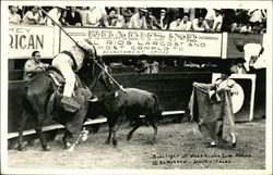 Bullfight in Mexico Postcard