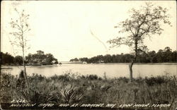 Anderson Bayou and St. Andrews Bay Lynn Haven, FL Postcard Postcard