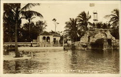 Venetian Pools Postcard