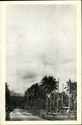 One of Many New Guinea Highways South Pacific Postcard Postcard