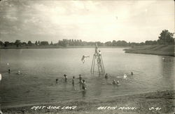 East Side Lake Austin, MN Postcard Postcard