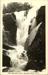 Zealand Falls Zealand Notch, NH Postcard Postcard